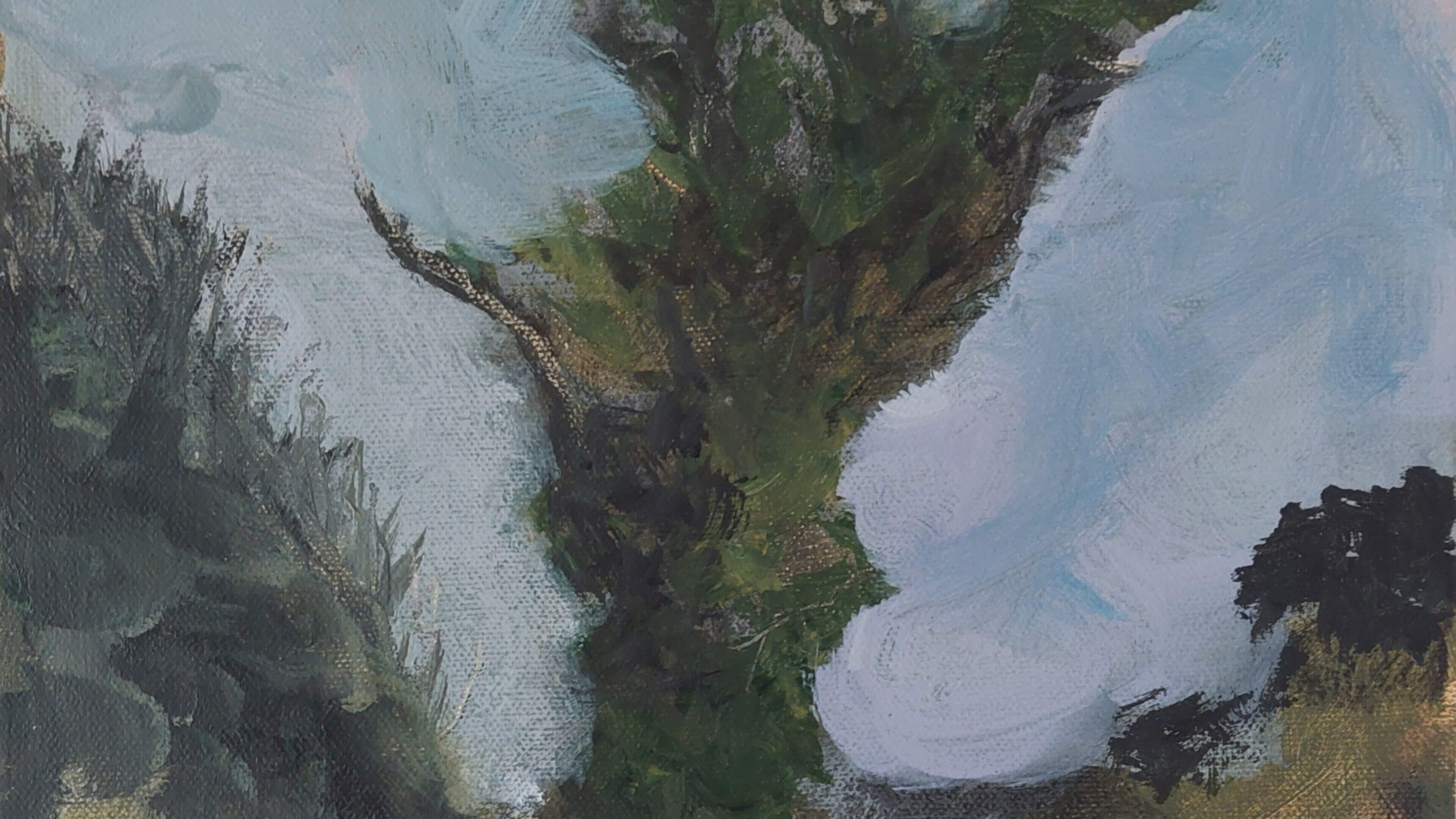Gallery exhibition from Tina Brooks highlight Sligo’s coastline